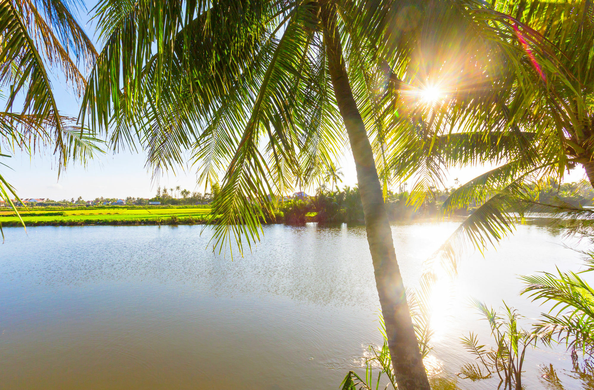 Do River Homestay Hoi An Exterior foto